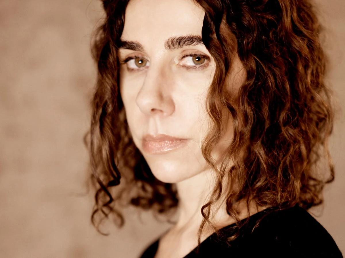 Ai PJ Harvey picture